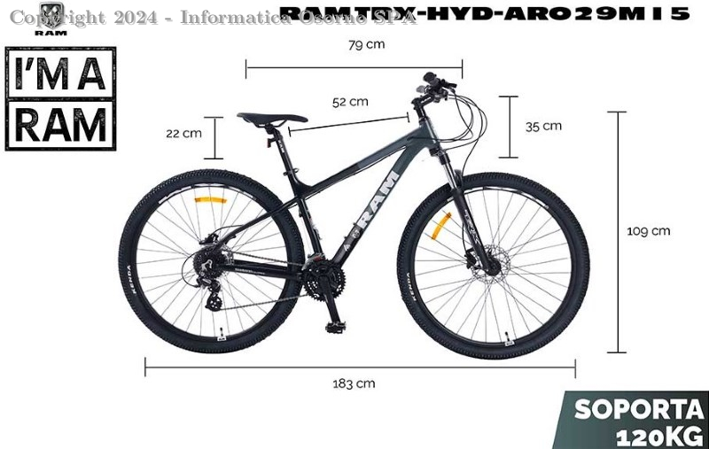 Bicicleta RAM mtb 27.5 TRX aro 29